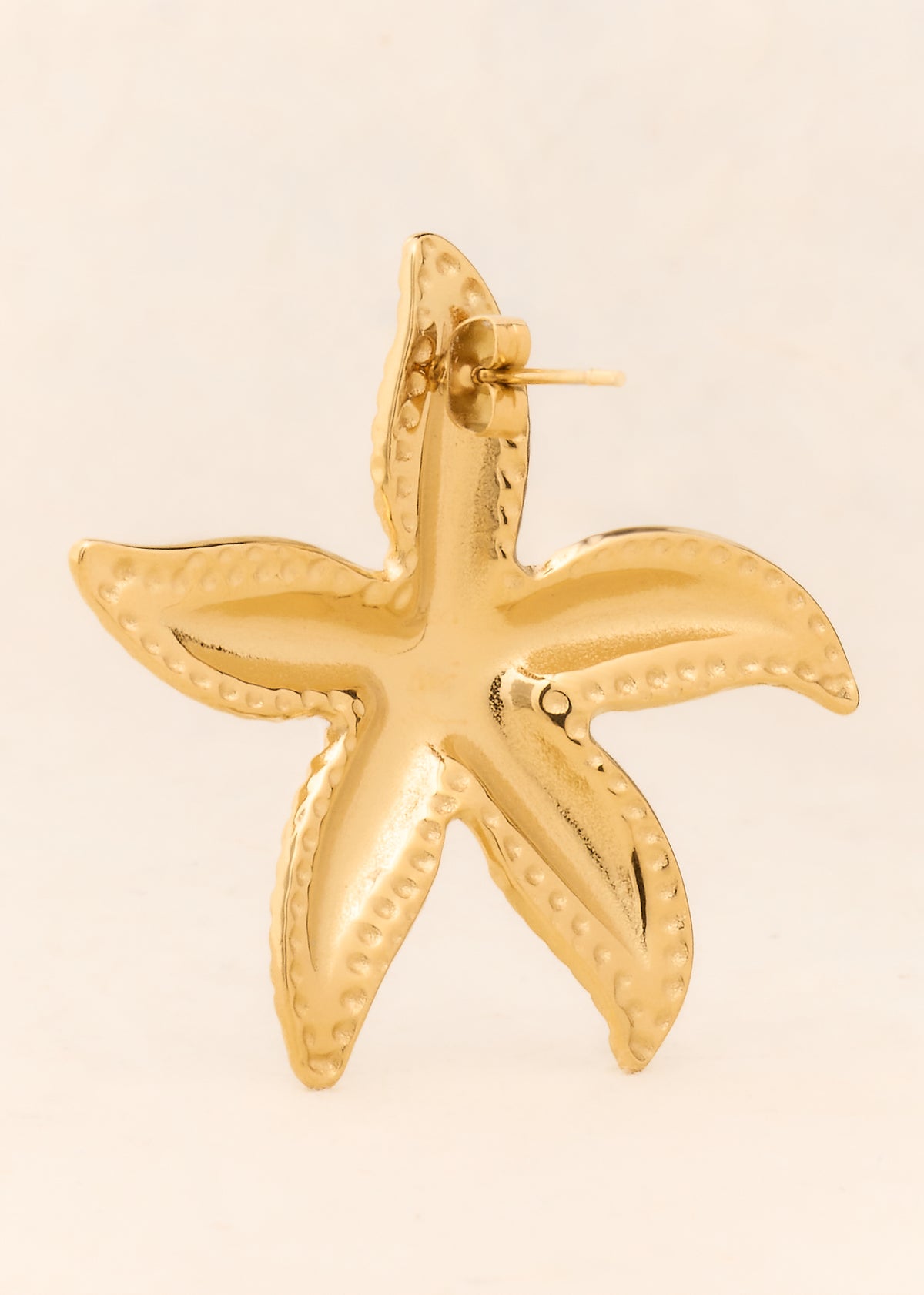 Pendientes Ari