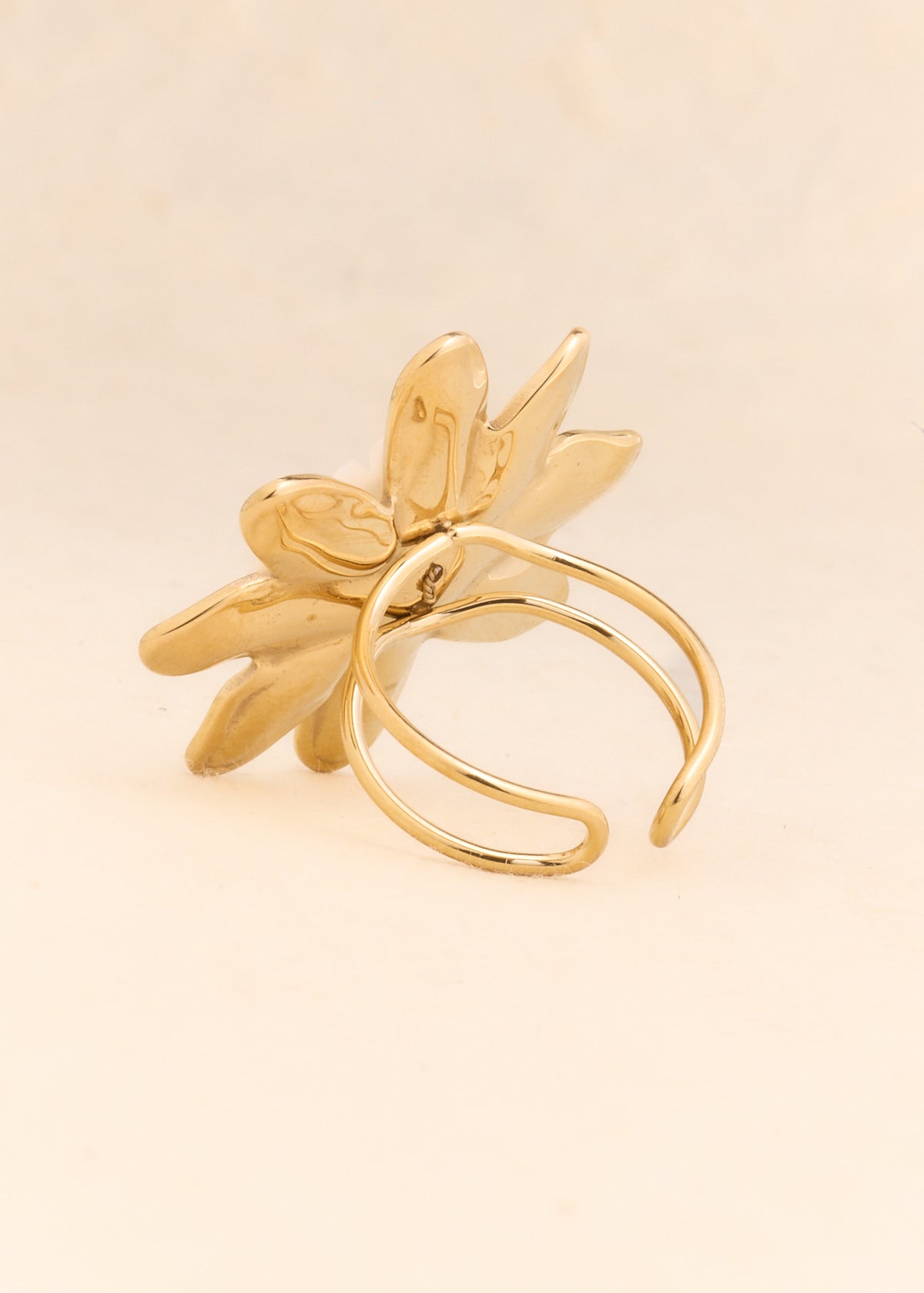 Ring Ruri